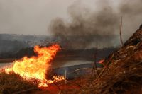 Operação em SP está concluída, mas Forças Armadas seguem de prontidão, diz Múcio sobre incêndios