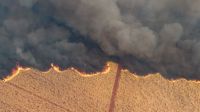 Incêndios em SP: ministro e secretário da Agricultura falam em ação criminosa