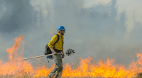 Flávio Dino marca audiência com representantes de dez estados para acompanhar medidas sobre incêndios