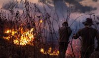 Governo prepara pacote ambiental contra queimadas para apresentar à ONU