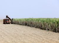 Ministro da Agricultura fala sobre papel do Brasil na produção de biocombustíveis