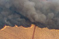 Ministério do Meio Ambiente reconhece lentidão na liberação de recursos para combater incêndios florestais