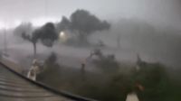 Vídeo: Tornado arranca copas de árvores em município na Flórida